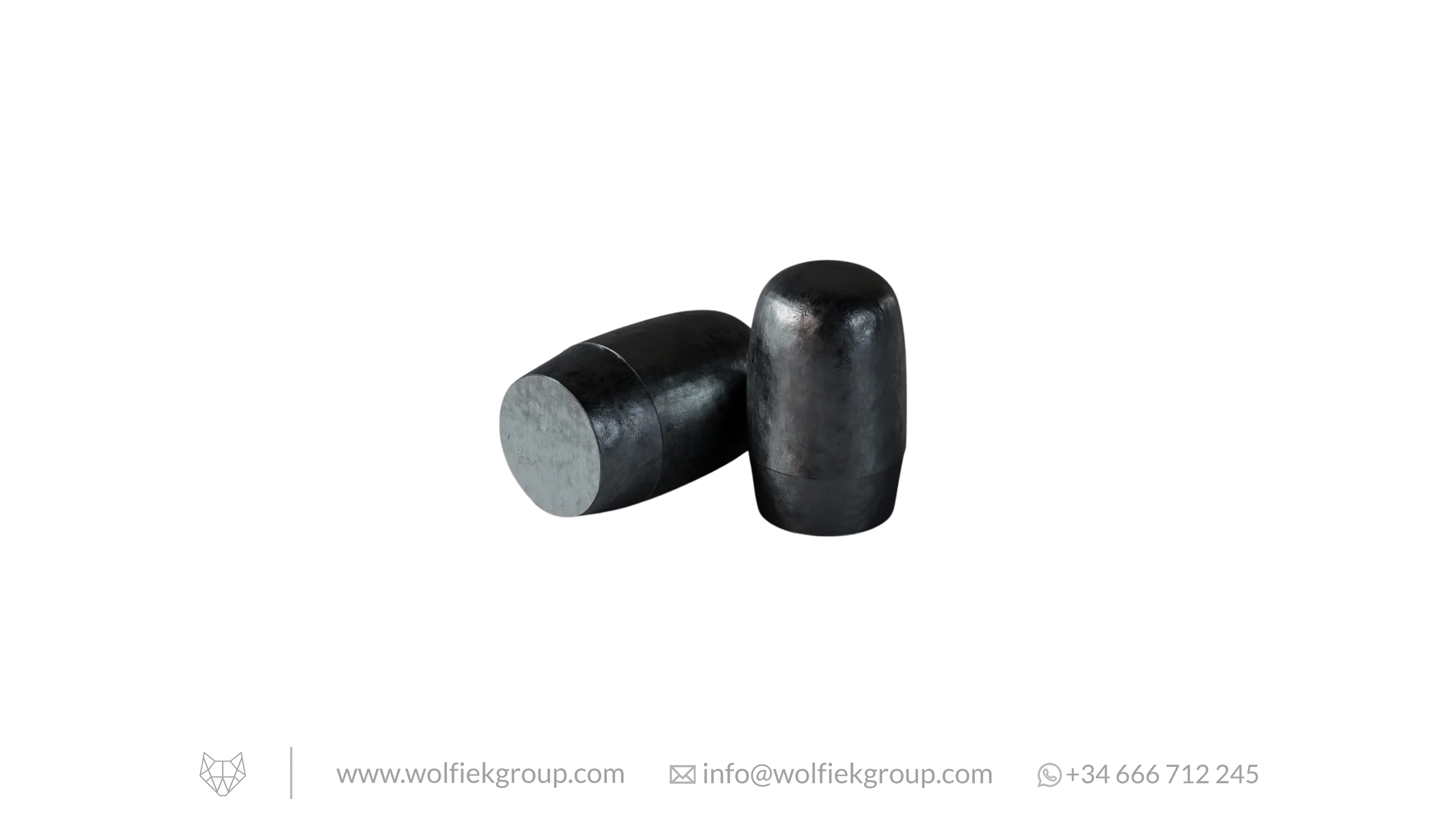 Zan Projectiles Airgun Slugs ELR - Cal. 25 (6.5mm) | 3.97g (61.3gr)