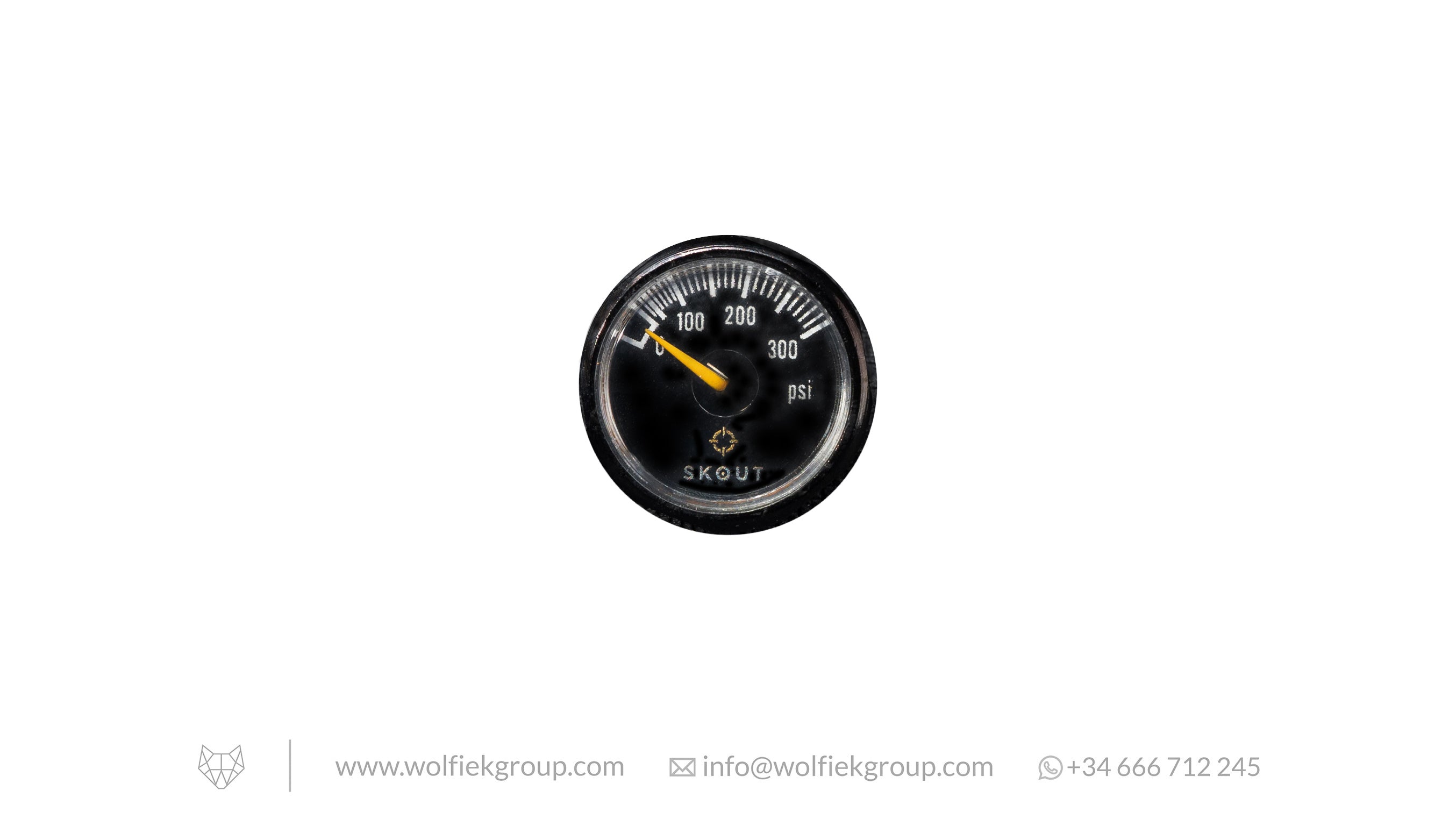 Skout Gauge 300