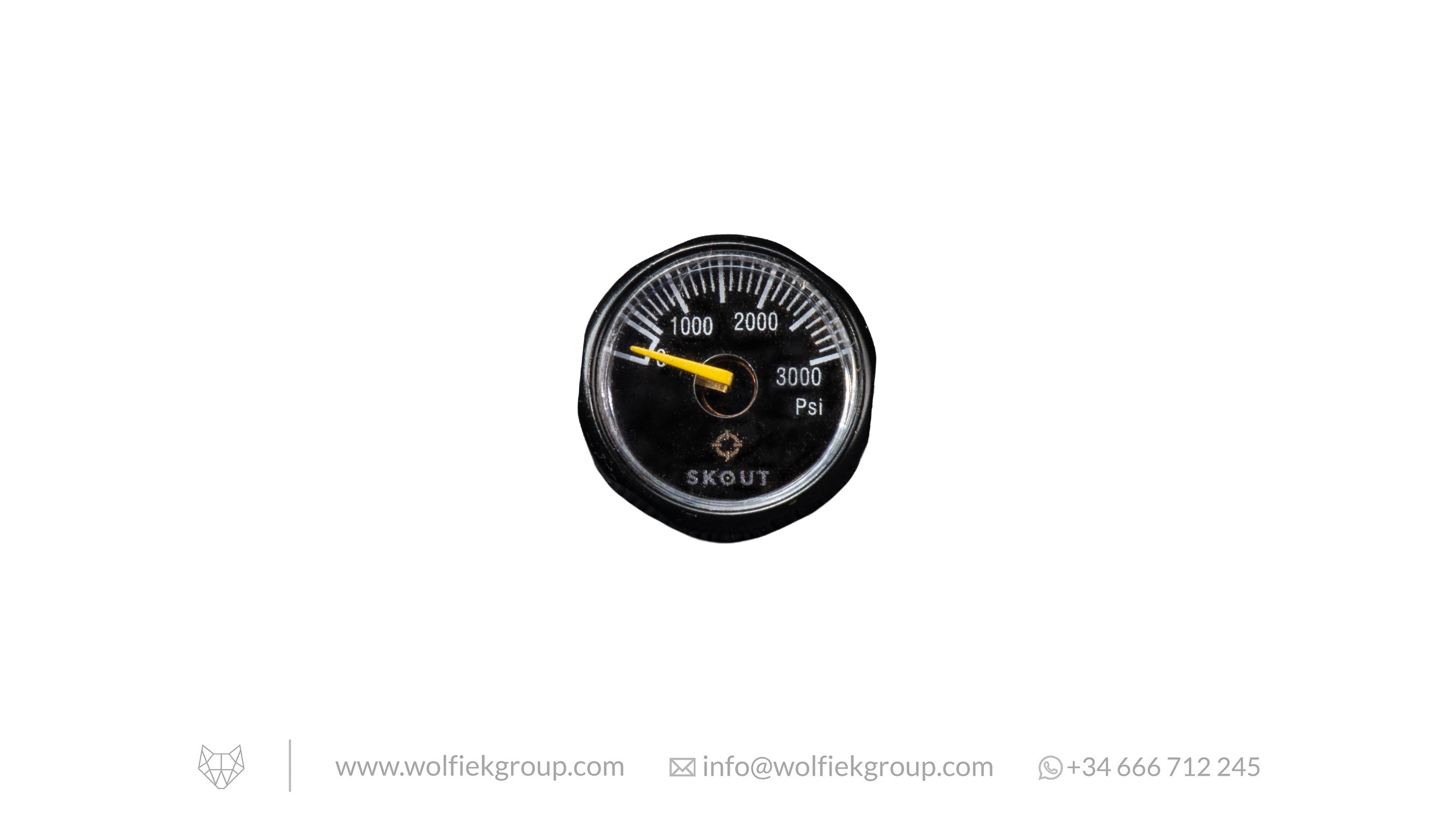 Skout Gauge 3000