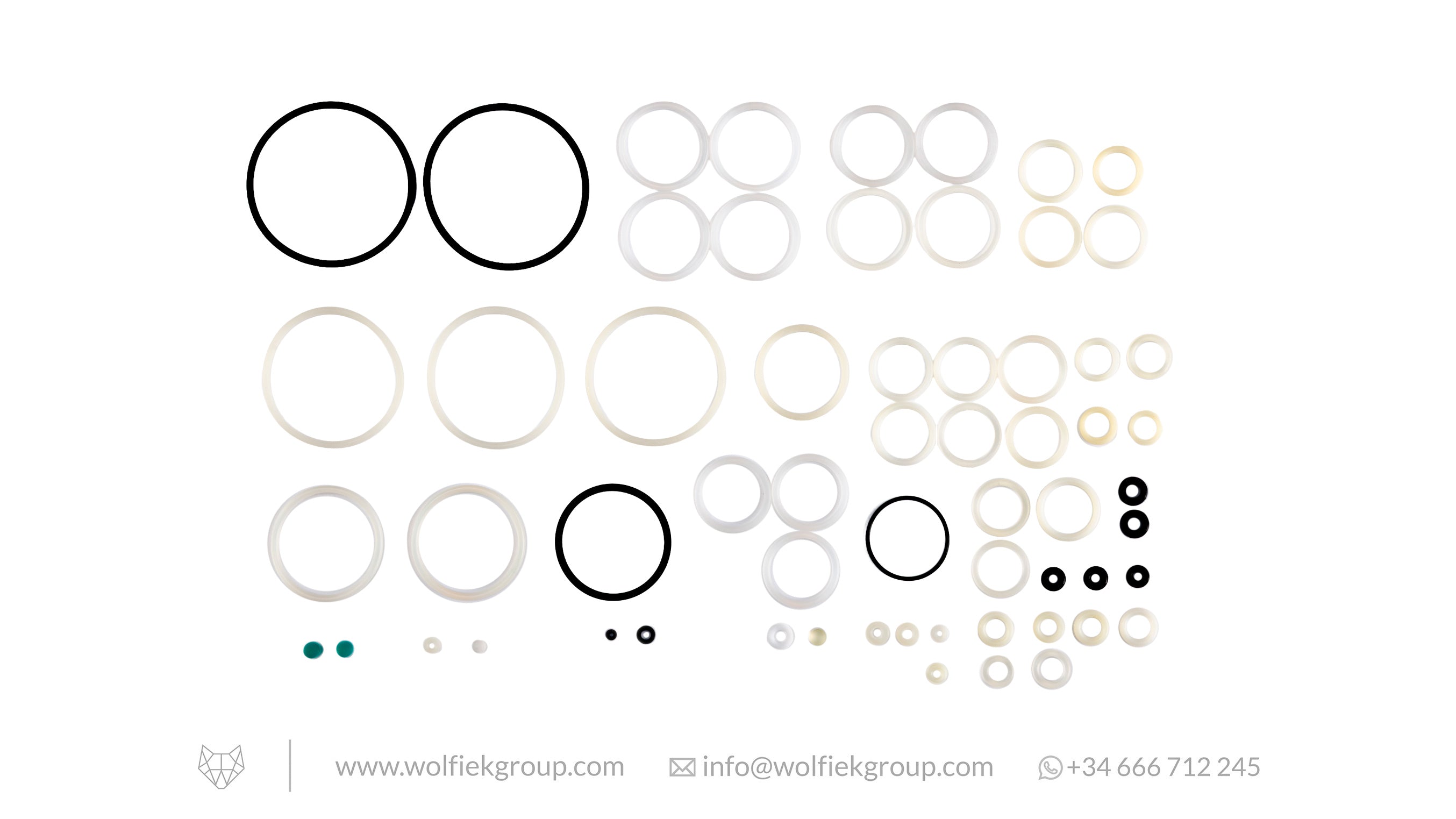 Skout Complete O-rings Kit
