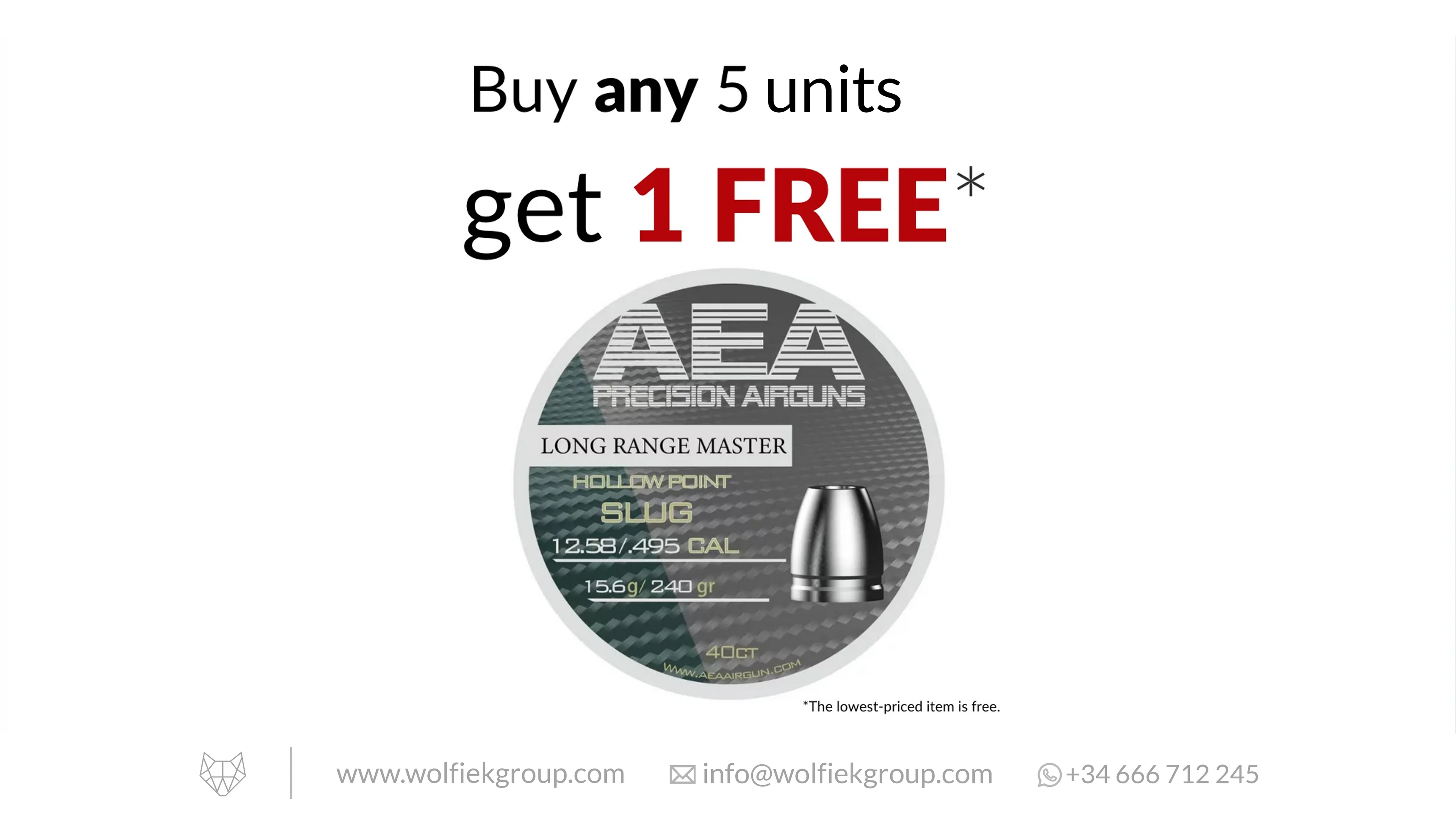 AEA Long Range Master Hollow Point Slugs - Cal .495 (12.58mm) | 15.6g (240gr)