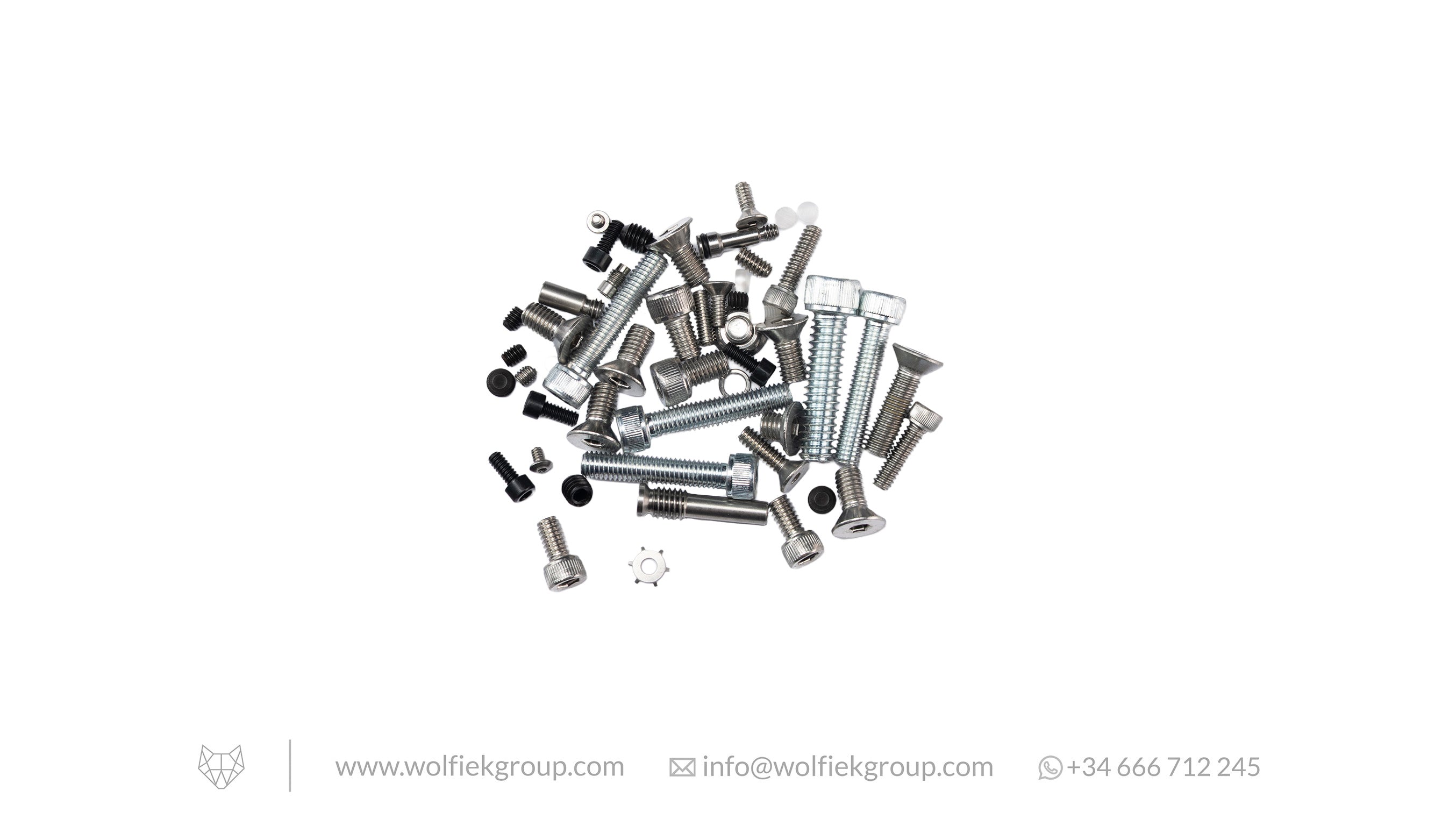Skout Screw Kit